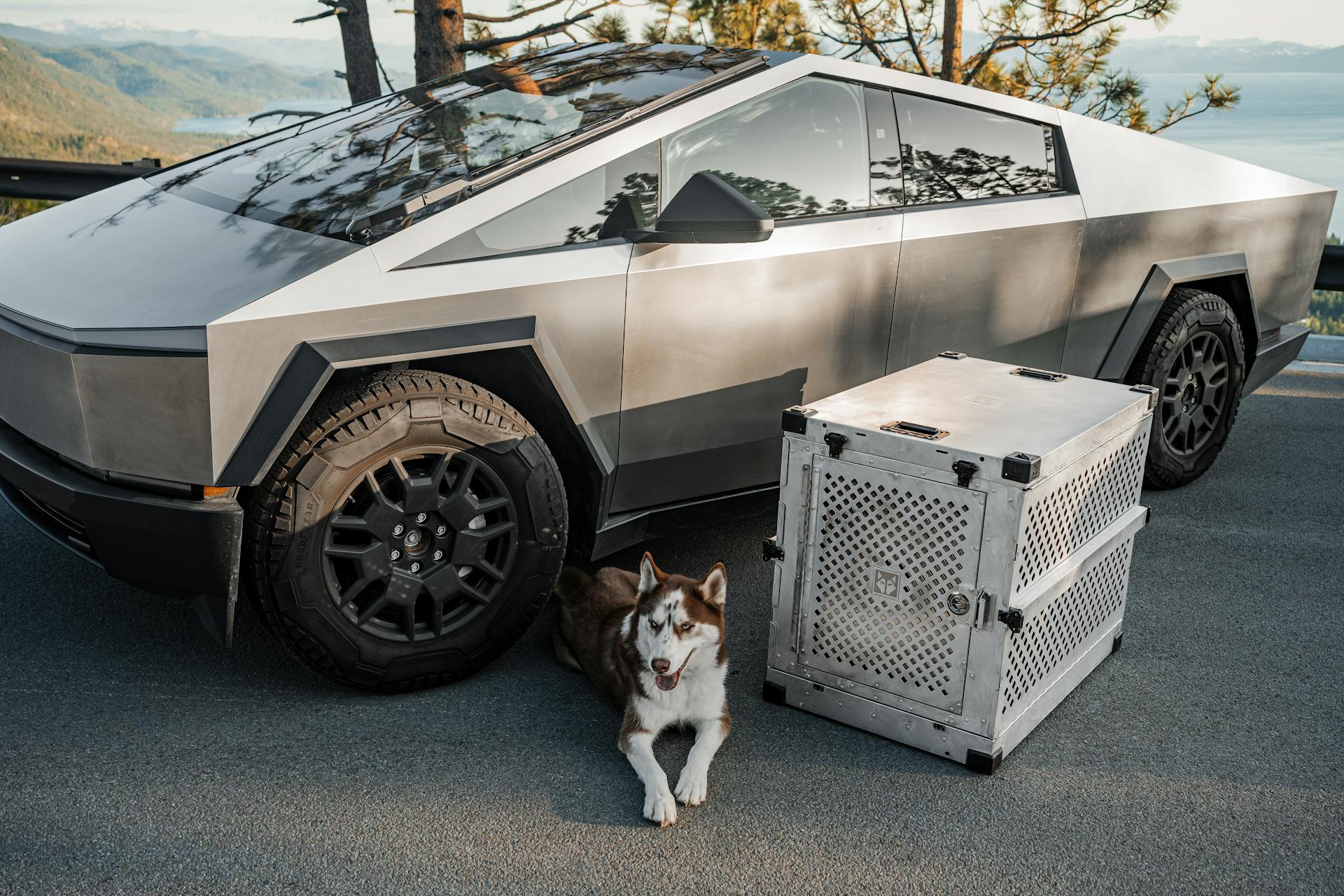 טסלה בעתיד: מה צופן לנו העתיד?